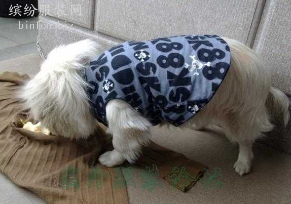 想给家里的宠物狗狗设计衣服，从哪里开始做？