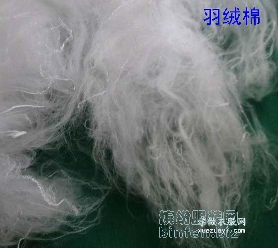 羽绒棉|太空棉|PP棉|丝棉|铺棉这些化学棉花纤维的区别